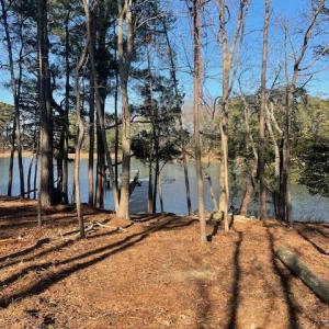 Photo #6 of 22080 VERLINDA LNDG NORTH, CAPE CHARLES, VA 0.5 acres