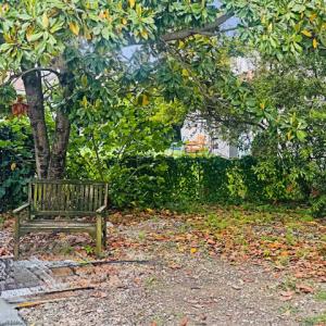 Photo #12 of 4169 MAIN ST, CHINCOTEAGUE, VA 0.1 acres
