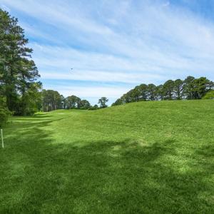 Photo #48 of 3074 CAPTAINS CORRIDOR, GREENBACKVILLE, VA 10.0 acres