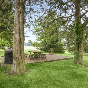 Photo #34 of 37122 SHARK CT, GREENBACKVILLE, VA 70.0 acres
