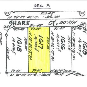 Photo #43 of 37122 SHARK CT, GREENBACKVILLE, VA 70.0 acres