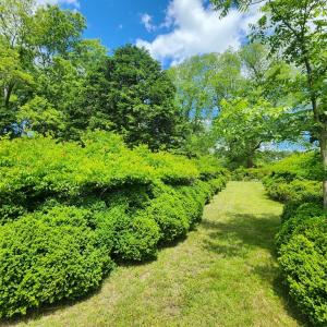Photo #10 of 12069 BLUE TEAL LN, MACHIPONGO, VA 0.9 acres