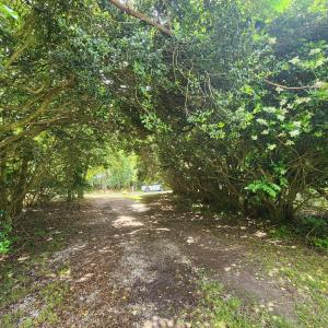 Photo #46 of 12069 BLUE TEAL LN, MACHIPONGO, VA 0.9 acres