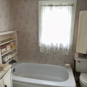 Downstairs Bath