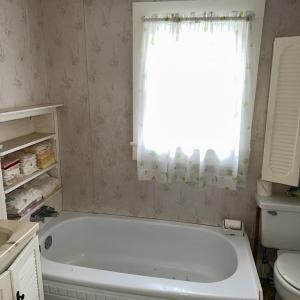 Downstairs Bath