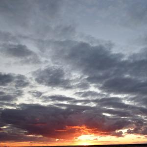 Photo #19 of 2383#2 MAIN ST, CHINCOTEAGUE, VA 12,020.6 acres