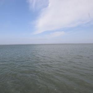 Photo #28 of 2383#1 MAIN ST, CHINCOTEAGUE, VA 12,258.0 acres