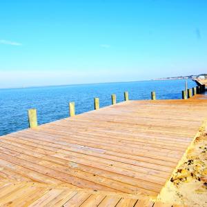 Photo #15 of 2383#1 MAIN ST, CHINCOTEAGUE, VA 12,258.0 acres