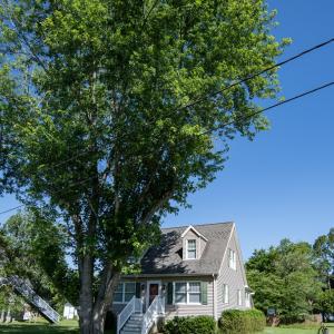 Photo #85 of 21382 SOUTHSIDE RD, ONANCOCK, VA 0.2 acres