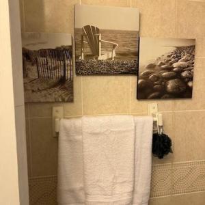 Photo #27 of 2561 CAPTAINS CORRIDOR, GREENBACKVILLE, VA 0.3 acres