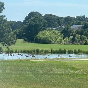 Photo #35 of 2561 CAPTAINS CORRIDOR, GREENBACKVILLE, VA 0.3 acres