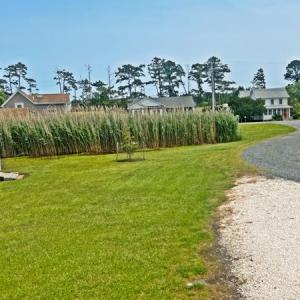 Photo #60 of 5061 BAY COLONY LN, CHINCOTEAGUE, VA 0.3 acres