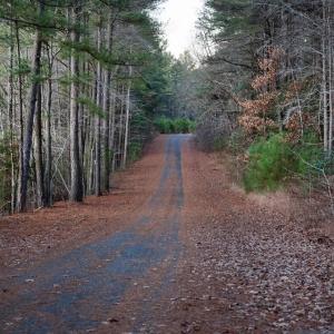 Photo #15 of Lot 2401 CLIPPER CT, GREENBACKVILLE, VA 12.0 acres