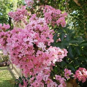 Photo #53 of 31523 SUNRISE DR, PAINTER, VA 0.3 acres