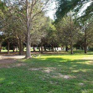 Photo #55 of 31523 SUNRISE DR, PAINTER, VA 0.3 acres