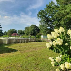 Photo #49 of 31523 SUNRISE DR, PAINTER, VA 0.3 acres