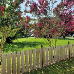 Photo #54 of 31523 SUNRISE DR, PAINTER, VA 0.3 acres