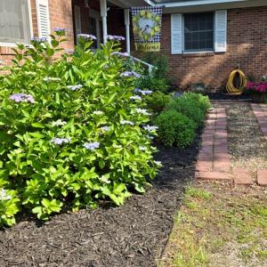 Photo #12 of 21020 ADAMS ROAD, GREENBUSH, VA 2.9 acres