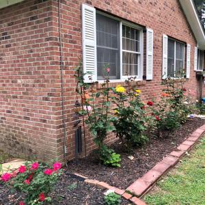 Photo #14 of 21020 ADAMS ROAD, GREENBUSH, VA 2.9 acres