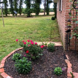 Photo #17 of 21020 ADAMS ROAD, GREENBUSH, VA 2.9 acres
