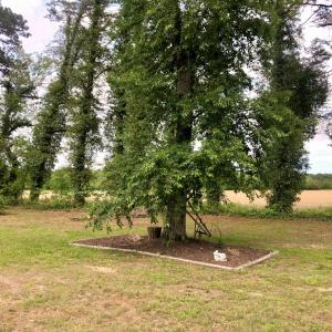 Photo #19 of 21020 ADAMS ROAD, GREENBUSH, VA 2.9 acres