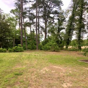 Photo #23 of 21020 ADAMS ROAD, GREENBUSH, VA 2.9 acres
