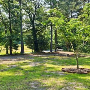 Photo #15 of 21020 ADAMS ROAD, GREENBUSH, VA 2.9 acres