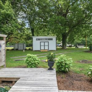 Back yard