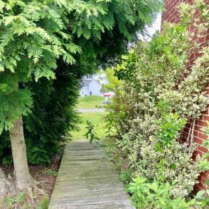 Photo #85 of 3250 COLONA ST, CHINCOTEAGUE, VA 0.7 acres