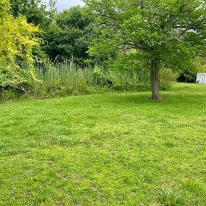 Photo #39 of 3250 COLONA ST, CHINCOTEAGUE, VA 0.7 acres