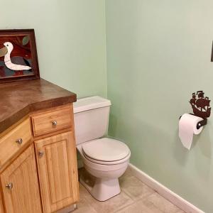 Photo #51 of 3250 COLONA ST, CHINCOTEAGUE, VA 0.7 acres