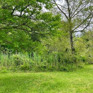 Photo #80 of 3250 COLONA ST, CHINCOTEAGUE, VA 0.7 acres