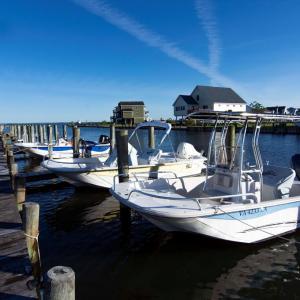 Photo #19 of Lot 32 BRIGANTINE BLVD, GREENBACKVILLE, VA 10,814.0 acres