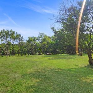 1 acre yard
