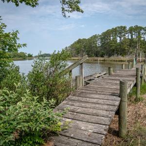 Photo #5 of 22285 GREEN TOP DR, ONANCOCK, VA 14.8 acres