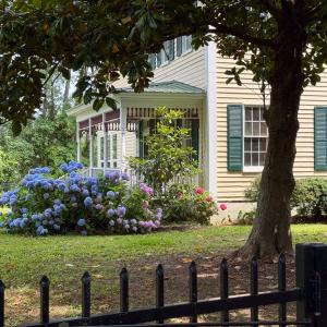 Photo #12 of 22285 GREEN TOP DR, ONANCOCK, VA 14.8 acres