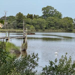 Photo #6 of 22285 GREEN TOP DR, ONANCOCK, VA 14.8 acres