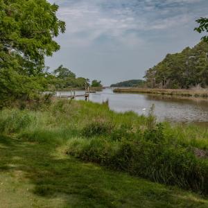 Photo #7 of 22285 GREEN TOP DR, ONANCOCK, VA 14.8 acres