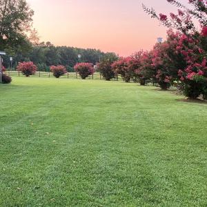 Photo #76 of 25367 MESSONGO RD, TEMPERANCEVILLE, VA 41.0 acres