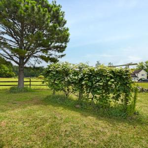 Photo #77 of 25367 MESSONGO RD, TEMPERANCEVILLE, VA 41.0 acres