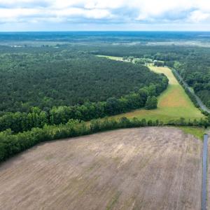 Photo #82 of 25367 MESSONGO RD, TEMPERANCEVILLE, VA 41.0 acres