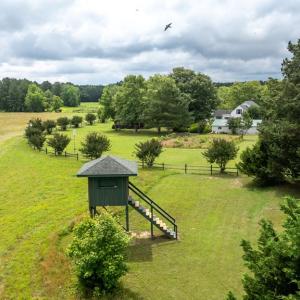 Photo #85 of 25367 MESSONGO RD, TEMPERANCEVILLE, VA 41.0 acres