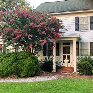 Photo #92 of 25367 MESSONGO RD, TEMPERANCEVILLE, VA 41.0 acres