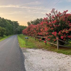 Photo #94 of 25367 MESSONGO RD, TEMPERANCEVILLE, VA 41.0 acres