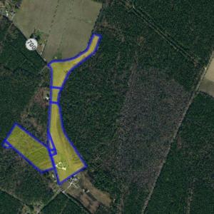 Photo #98 of 25367 MESSONGO RD, TEMPERANCEVILLE, VA 41.0 acres