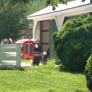 Photo #73 of 25367 MESSONGO RD, TEMPERANCEVILLE, VA 41.0 acres
