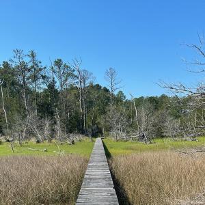 Photo #8 of 14457 BROADWAY RD, ONANCOCK, VA 174,240.0 acres