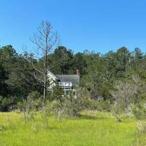 Photo #9 of 14457 BROADWAY RD, ONANCOCK, VA 174,240.0 acres
