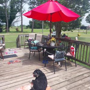 Photo #12 of 20224 SAXIS RD, SAXIS, VA 0.8 acres