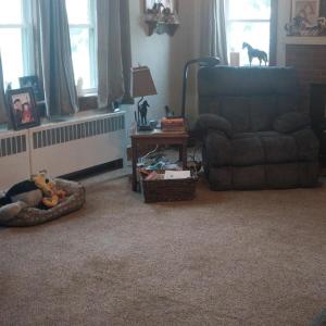 Photo #9 of 20224 SAXIS RD, SAXIS, VA 0.5 acres